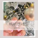 제주도 신제주 단골이 많은 연장 전문 네일아트 비비엔네일