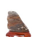 학-비상 이미지