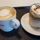 한스 강아지방 이미지