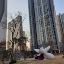 면목동-164 이미지