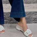 까멜리아 이미지