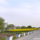 삽교호 호수공원 야구장 이미지