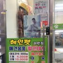 멍뭉이샵 이미지