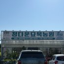 평택꽃집 정다운묘목농원 레몬라임나무 구매후기