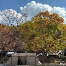 B24-1 | 울산 캠핑월드 사이트 B24 이용후기 : 계곡 옆 뷰 좋은 캠핑장