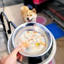 24시무인애견간식&용품아무도없개 네이버블로그