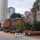 광교센트럴단지내공인중개사사무소 이미지