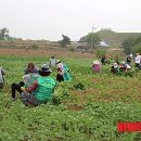 연천 호로고루 이미지