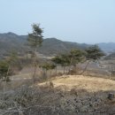 유박