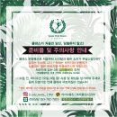 로라폴댄스 네이버블로그