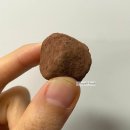 델토리 마롱 코코아스낵