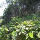 내리 다목적회관 이미지