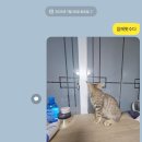 뮤지컬의 밤<할리데이> | 빌려 온 고양이같이 부산 가기