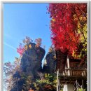 전남 장성 백양사의 만추 이미지