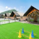 가평댕댕이애견펜션&글램핑골드 이미지