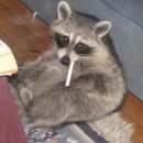 미학개론 이미지