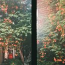 토브하우스커피3 이미지