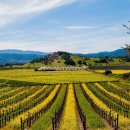 켈리포니아 이미지