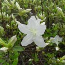 이마트약국 이미지