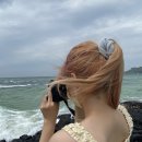 판문점주유소 | 백문 백답^////^