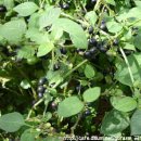 원광대학교 한의과대학 광주한방병원 이미지