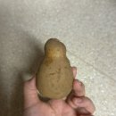 새로운 시작을 받아들여야 하는