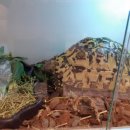 백동물병원 이미지