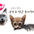 고봉민김밥인노원마들역점 - 노원구 한글비석로 530 | 고봉민김밥인노원마들역점