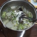 한겨울의 남국 관광 그 2