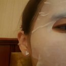 홍지랜드 이미지
