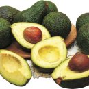 탄현식품 이미지