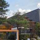 브룩5(BROOK5) 이미지