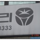 모닝글로리번동점