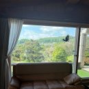 펜션 안시(Ancy) 이미지