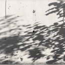 달빛하루 이미지