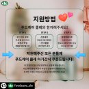 대디푸드스토리 이미지
