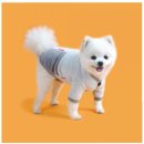 핑크펫샵 이미지