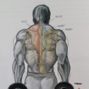 YOUR PT STUDIO 이미지