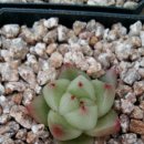 석영