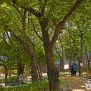 효성어린이공원 (JC공원) 이미지