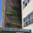 중계중학교 이미지