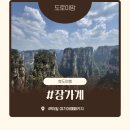 멍멍아 여기어때 | 2026.04.07~04.11 장가계가족여행 노옵션 노쇼핑 노팁 여기어때패키지여행 후기