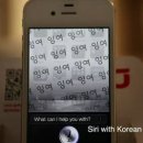 시리 이미지