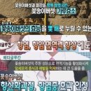 일해식품 이미지