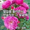 부두의 여인-백승태(설화네꽃들) 이미지