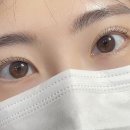 드레쉬펌 네이버블로그