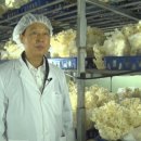 역전농장 이미지