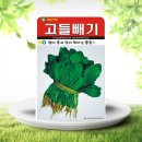 아람 쇼핑하우