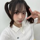 시연 티스토리