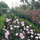 구목정공원 이미지